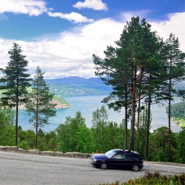 Norwegian road, trees and a river in the distance.