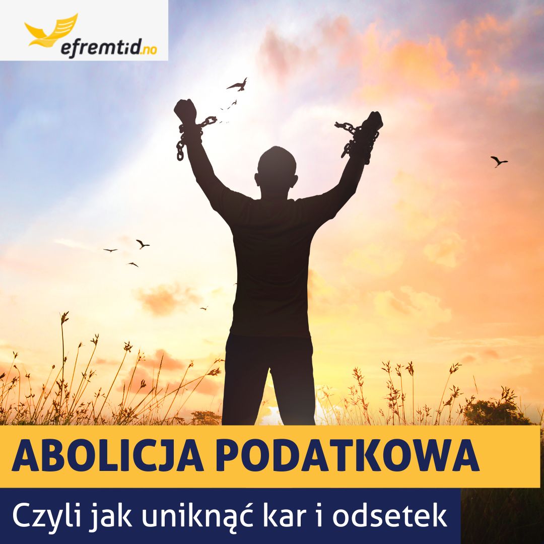 Abolicja podatkowa w Norwegii – uniknij kar i odsetek!