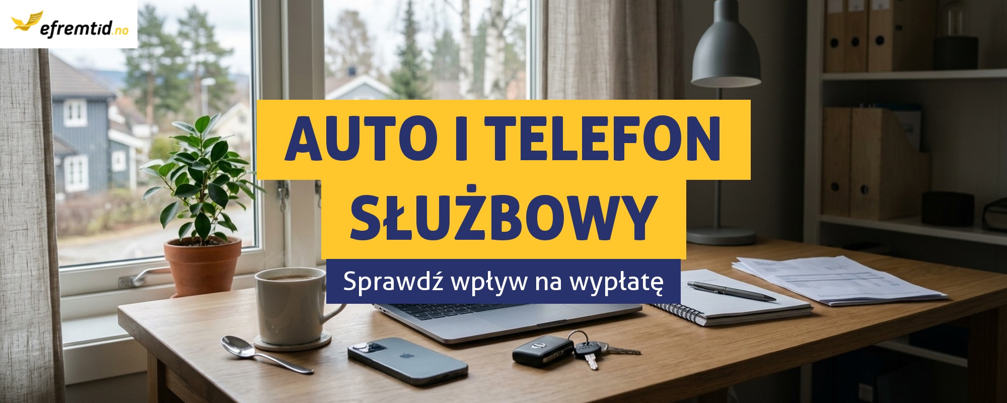 Co to jest “fri bil” i “fri telefon” na odcinku z wypłaty?