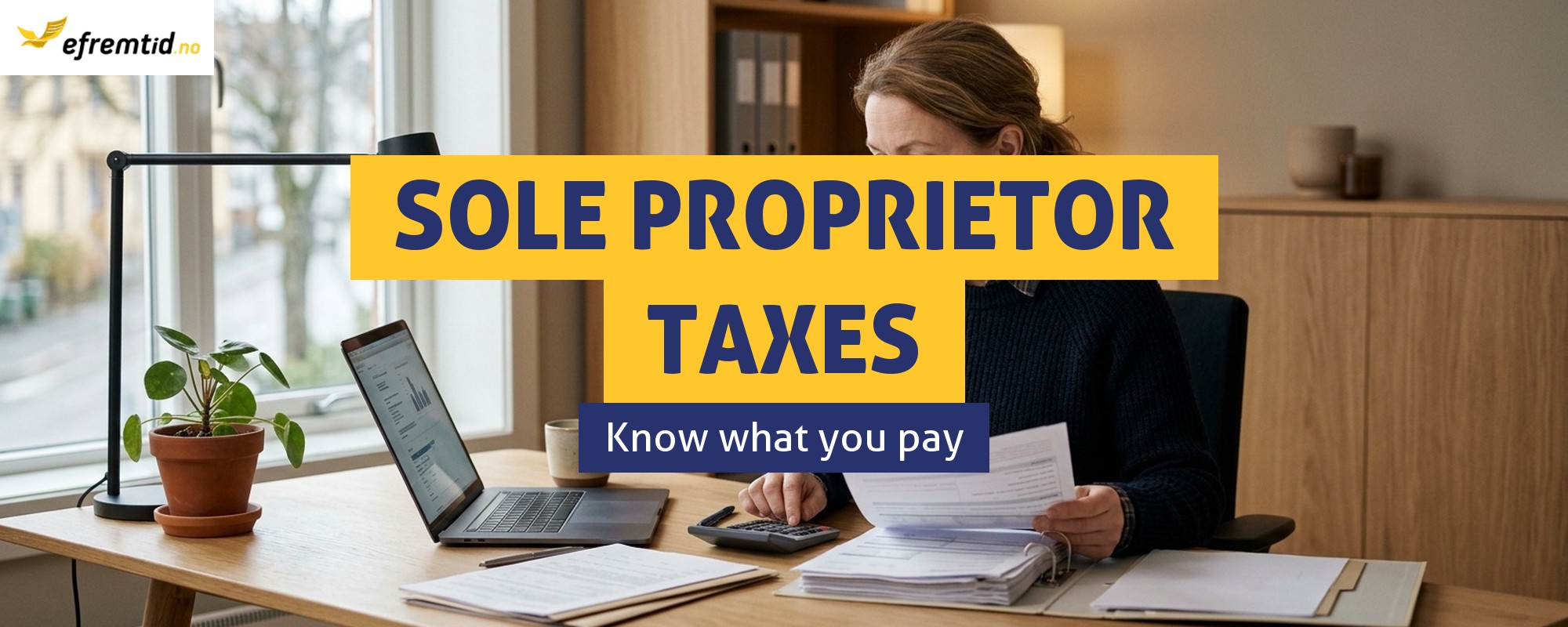 What taxes do sole proprietorships pay in Norway?