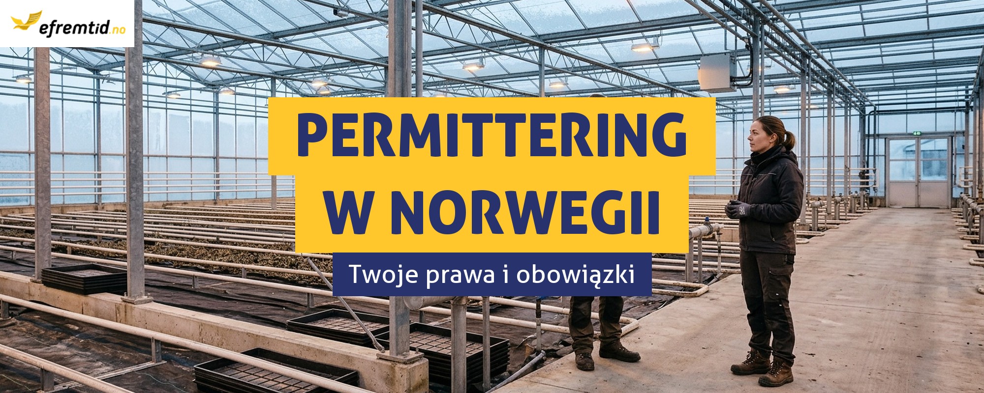 Co oznacza permittering i jakie masz wtedy prawa?